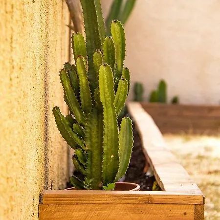 Casa Mawi アパート *