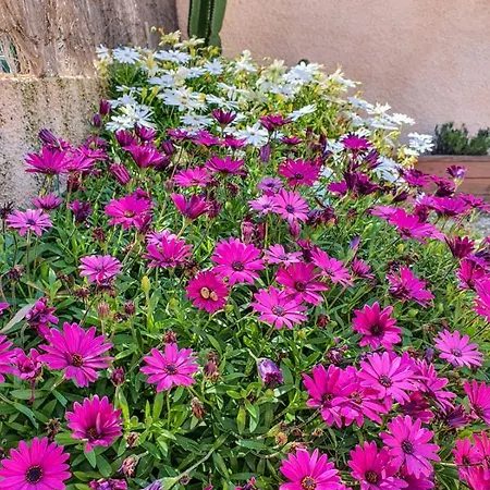 Apartament Casa Mawi