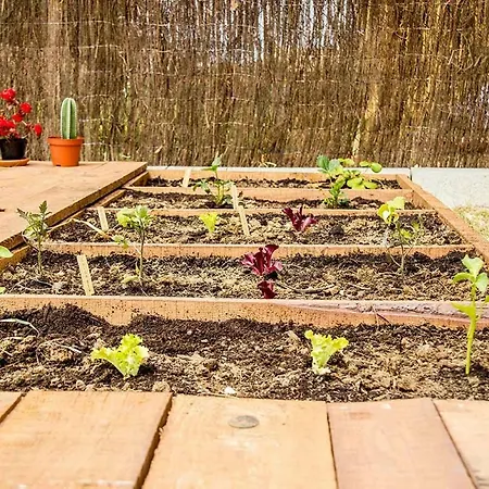 Casa Mawi Apartament *